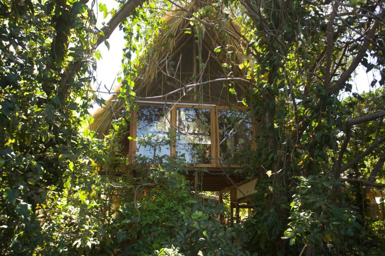 El Pital, Chocolate Paradise Balgue Exterior photo